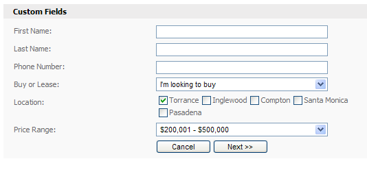 custom fields form